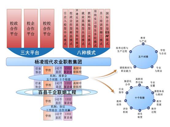 集团化办学1